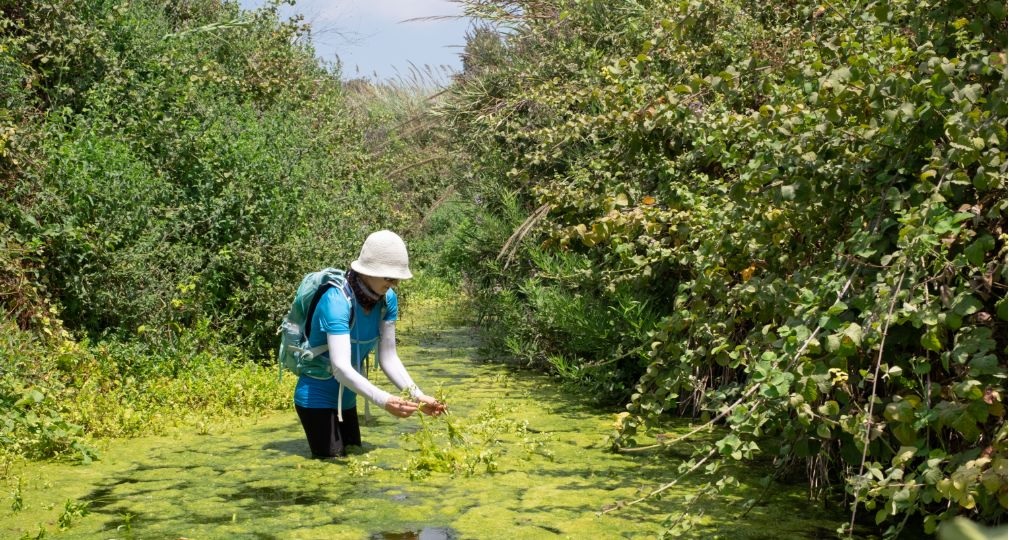 Фото: Shutterstock